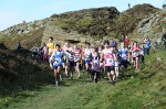 Click on thumbnail for larger photo