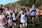 Click on thumbnail for larger photo