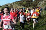 Click on thumbnail for larger photo