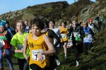 Click on thumbnail for larger photo