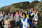 Click on thumbnail for larger photo