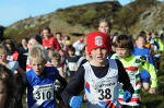 Click on thumbnail for larger photo