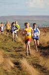 Click on thumbnail for larger photo
