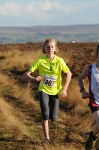 Click on thumbnail for larger photo