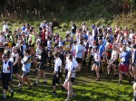 Click on thumbnail for larger photo