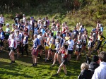 Click on thumbnail for larger photo