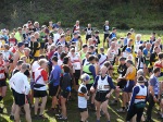 Click on thumbnail for larger photo