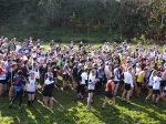 Click on thumbnail for larger photo