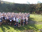 Click on thumbnail for larger photo