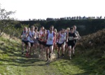 Click on thumbnail for larger photo