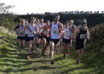 Click on thumbnail for larger photo