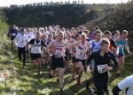 Click on thumbnail for larger photo