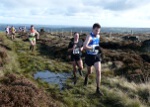 Click on thumbnail for larger photo