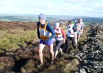 Click on thumbnail for larger photo