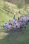 Click on thumbnail for larger photo