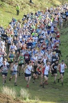 Click on thumbnail for larger photo