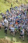 Click on thumbnail for larger photo