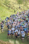 Click on thumbnail for larger photo