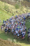 Click on thumbnail for larger photo
