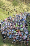 Click on thumbnail for larger photo