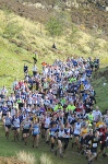 Click on thumbnail for larger photo