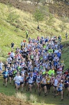 Click on thumbnail for larger photo