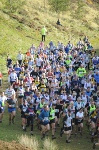 Click on thumbnail for larger photo