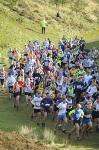 Click on thumbnail for larger photo