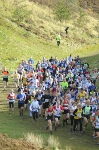 Click on thumbnail for larger photo
