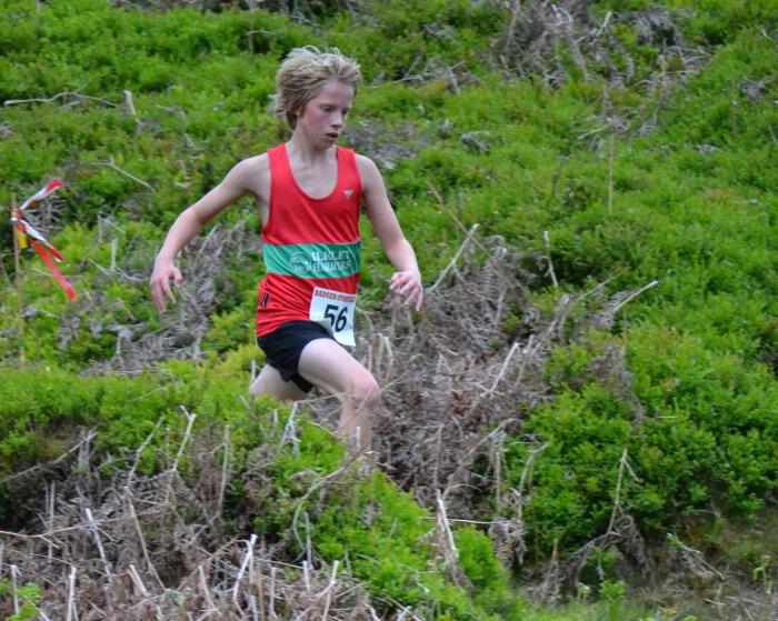 Photo zDSC_0011.jpg copyright &copy; 2013 Dave Woodhead