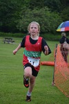 Click on thumbnail for larger photo