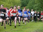 Click on thumbnail for larger photo