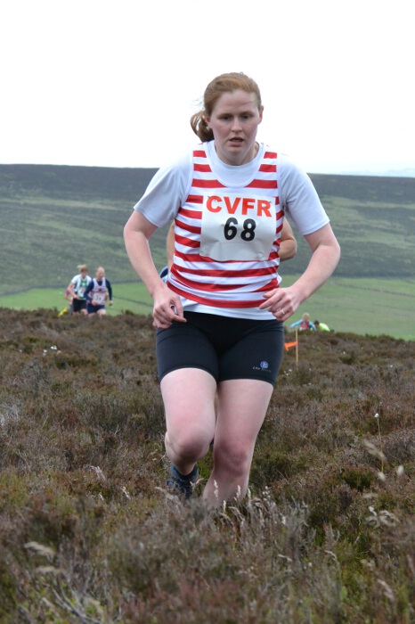 Photo DSC_2706.jpg copyright &copy; 2013 Dave Woodhead