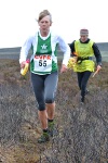 Click on thumbnail for larger photo