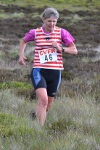 Click on thumbnail for larger photo