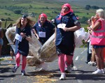 Click on thumbnail for larger photo