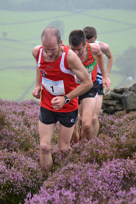 Photo DSC_2916.jpg copyright &copy; 2013 Dave Woodhead