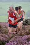 Click on thumbnail for larger photo
