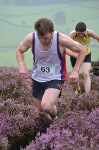 Click on thumbnail for larger photo