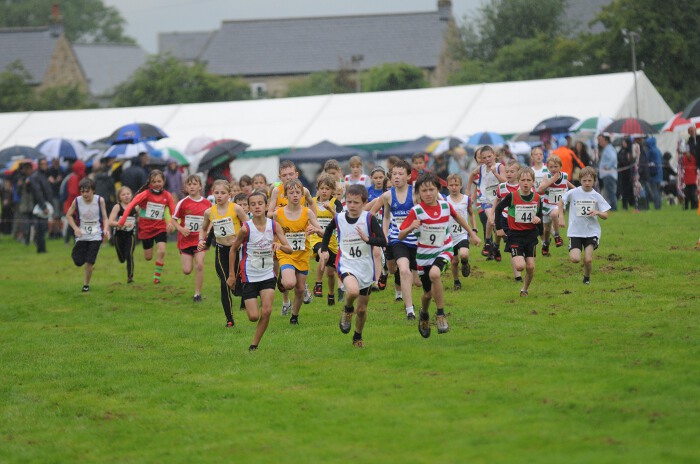 Photo DSC_1315.jpg copyright © 2025 Paul Wood