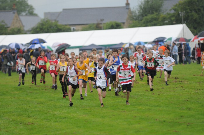 Photo DSC_1316.jpg copyright © 2025 Paul Wood
