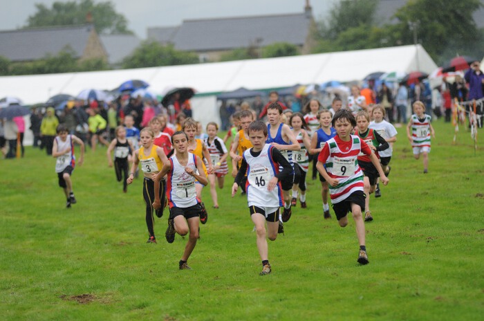 Photo DSC_1318.jpg copyright © 2025 Paul Wood