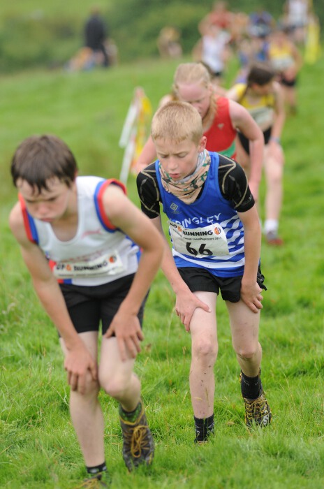 Photo DSC_1353.jpg copyright &copy; 2025 Paul Wood