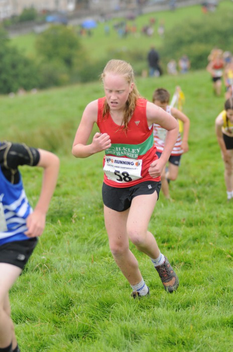 Photo DSC_1358.jpg copyright &copy; 2026 Paul Wood