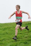 Click on thumbnail for larger photo