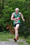 Click on thumbnail for larger photo