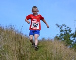 Click on thumbnail for larger photo