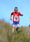 Click on thumbnail for larger photo