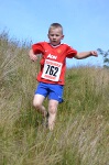 Click on thumbnail for larger photo