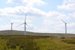 Click on thumbnail for larger photo